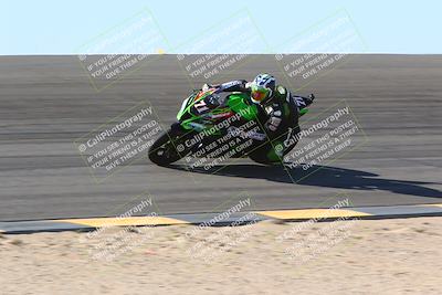 media/Jan-14-2024-SoCal Trackdays (Sun) [[2e55ec21a6]]/Bowl (11am)/